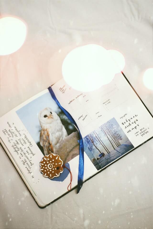 pure-julia-tyR7zcijnyw-unsplash scrapbooking